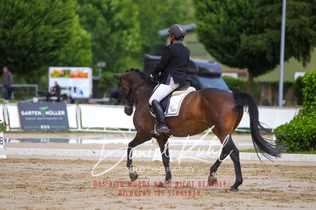 DKP40780 | Turniersportfotografie; Pferdefotografie; Dressurfotografie