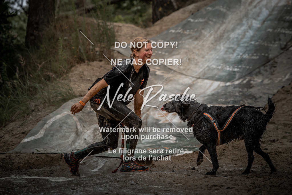 nelerasche_sa1345-1430_470 | nelerasche