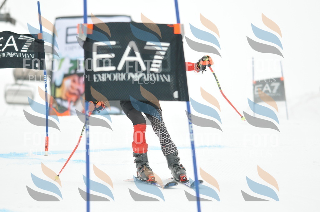 DSC_8101 | holidayphoto