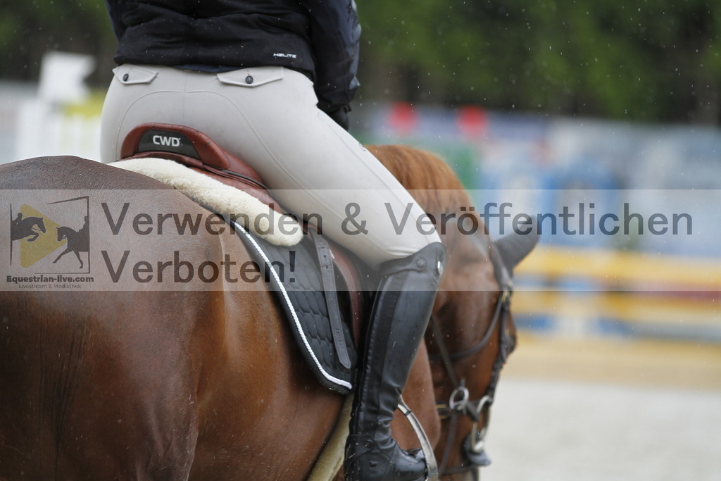_MG_0906 | equestrian-live-com