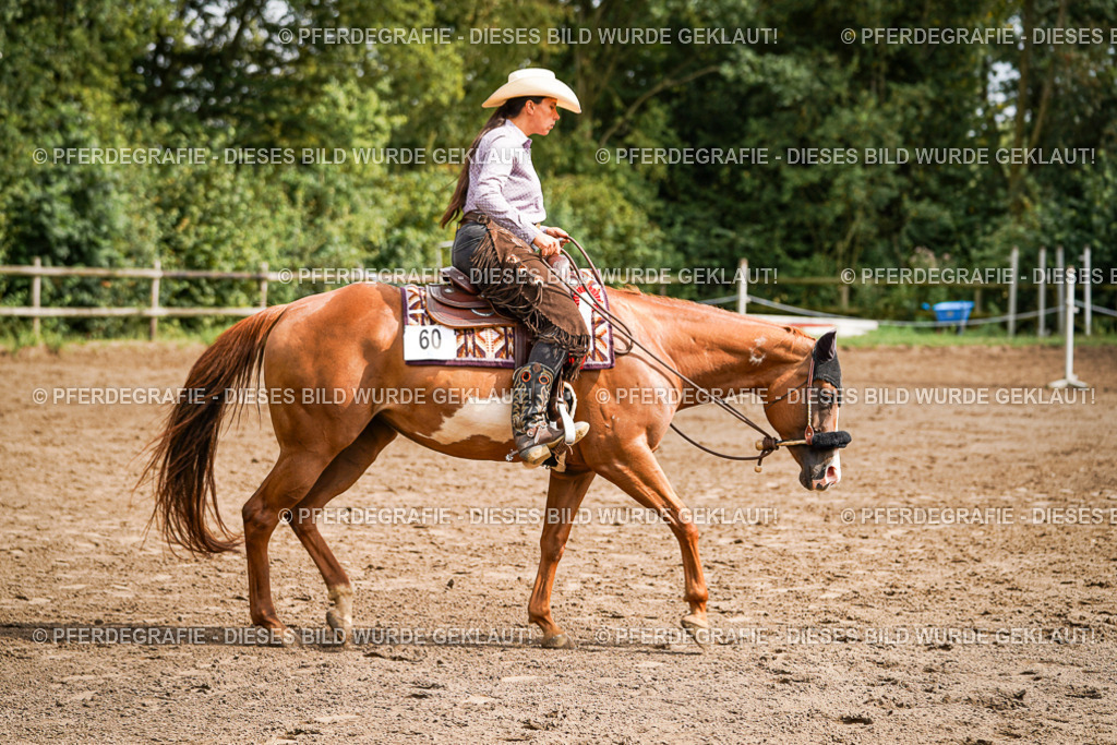 DSC08482 | Pferdegrafie