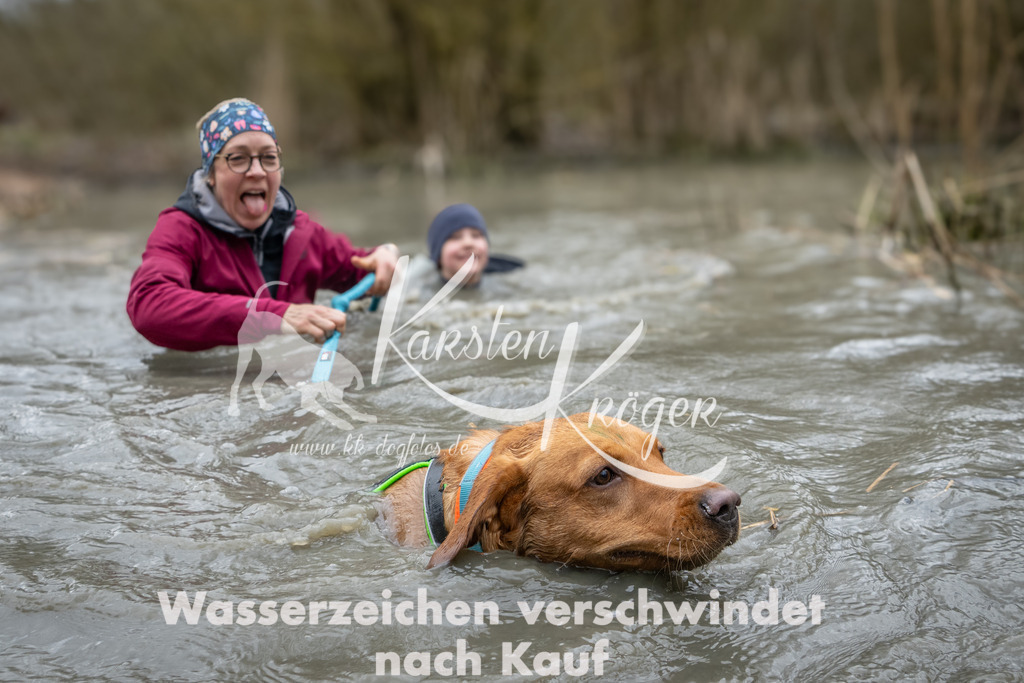 1131_ZZ99861 | kk-dogfotos