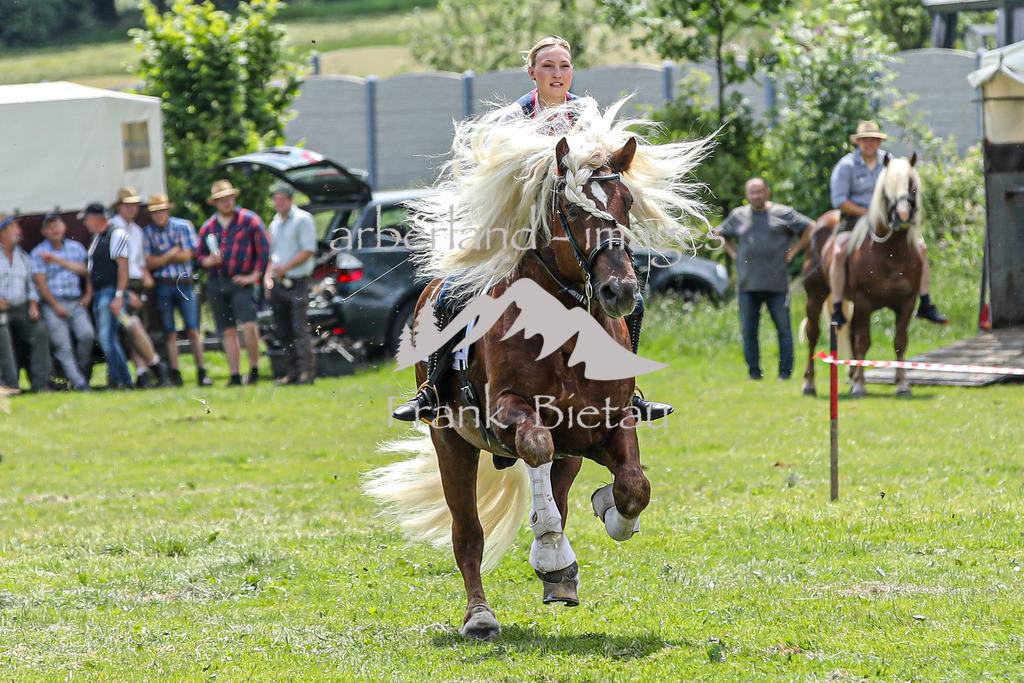 OE7A4231 | Beim Zugpferdetreffen in Poschedtsried galt es verschiedene Wettbewerbe zu meistern, Einzelrennen im Reiten, Traktorpulling und auch ein Hunderennen wurde veranstaltet