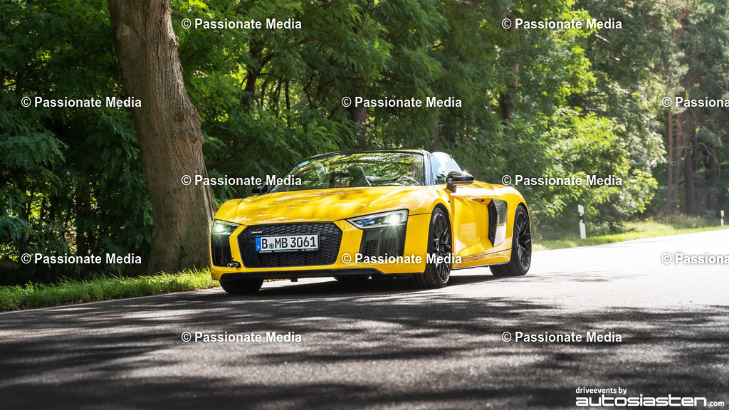 DSC00194 | Passionate Media, dein Fotograf aus Brandenburg, Märkisch Oderland, im Bereich Motorsport, Autos und Motorräder sowie Events und auch Hunde. Shootings oder auch Eventbegleitungen können bei mir gebucht we