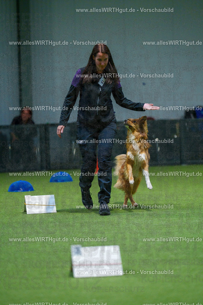 7R507724 | Professionelle Tierfotografie in Mönchengladbach von Daniel Wirth (allesWIRTHgut). Liebevolle & natürliche Bilder von Hunden & Katzen für unvergessliche Erinnerungen.