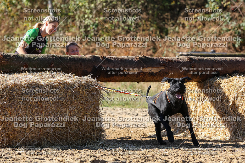 Dog Paparazzi - Strongdog 10-25-2739 | Dog Paparazzi Jeanette Grottendiek Fotografie & Videografie - Realisiert mit Pictrs.com