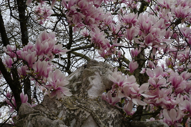 Momente 2 | Palastgarten Trier