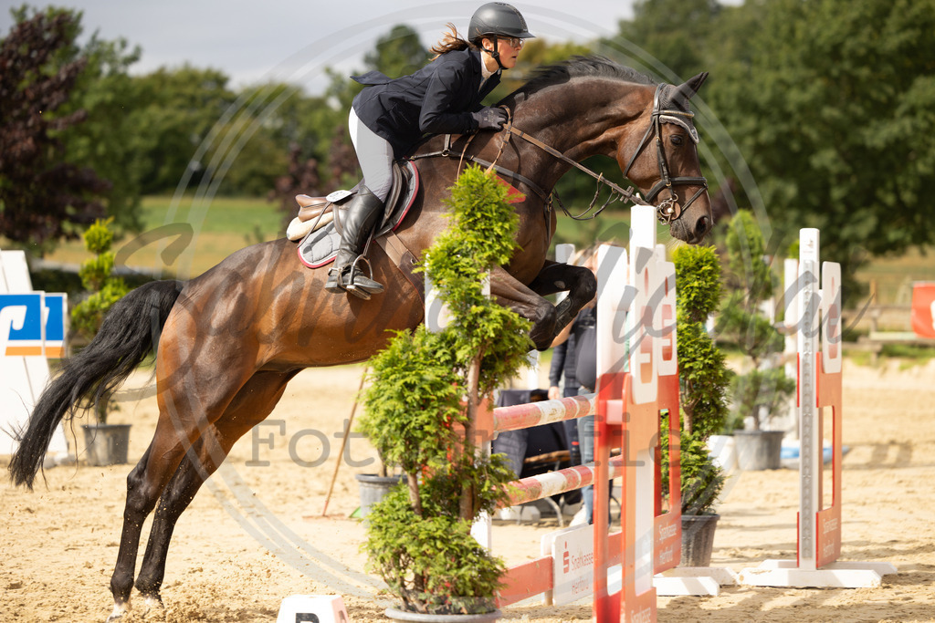 994A9075 | sabrinanicolaifotografie - Realisiert mit Pictrs.com