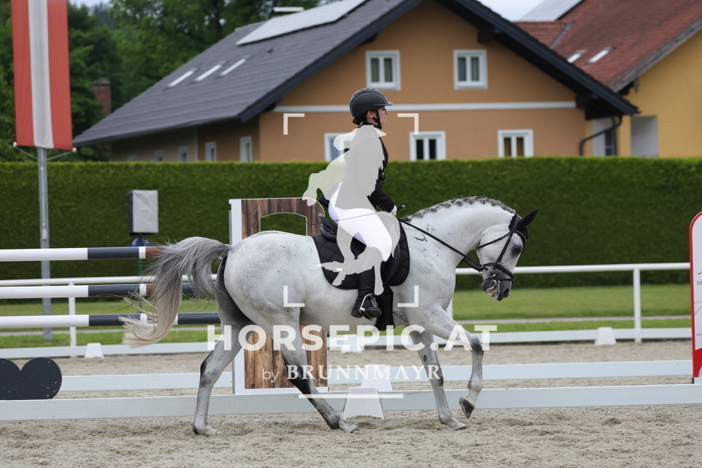 0P6A7344 | Willkommen bei Brunnmayr - Design & Fotografie – Ihrem Spezialisten für Reitturniere und Pferdeveranstaltungen in Oberösterreich, Salzburg und Bayern! Seit über 17 Jahren sind wir leidenschaftlich dabei.