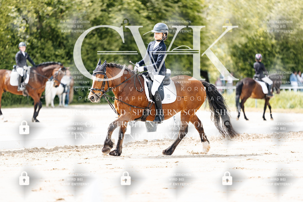 CK901707 | Turnierfotografie Pferdefotografie Trier Rheinland-Pfalz Pferdesport Reitsport Tierfotografie Sportfotografie Pferdevideo Pferdevideografie Equestrianvideography equestrianphotography  - Realisiert mit Pictrs.com