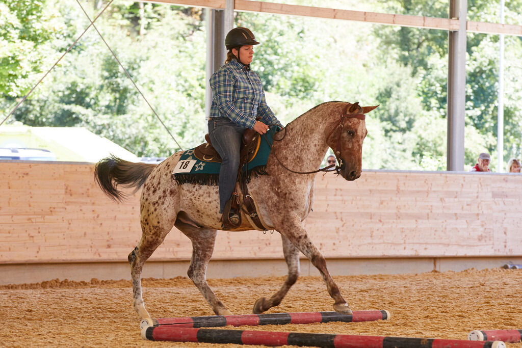 2020_07_19 Schweizersbild 101 | Peter Fridle Fotografie - Realisiert mit Pictrs.com