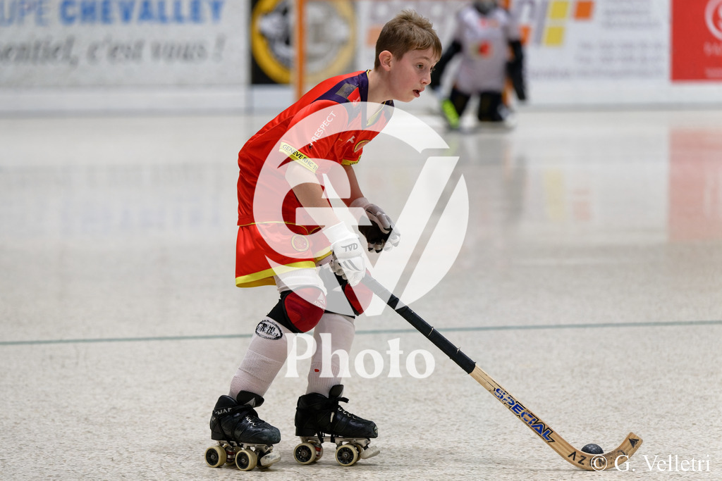 DSC_0723 | Velletri Photo