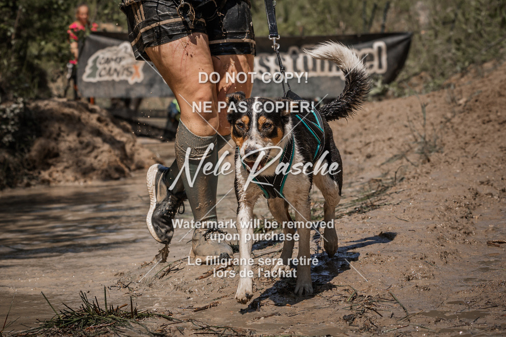 nelerasche_Hoope2026_Sa1330-1400_160 | nelerasche
