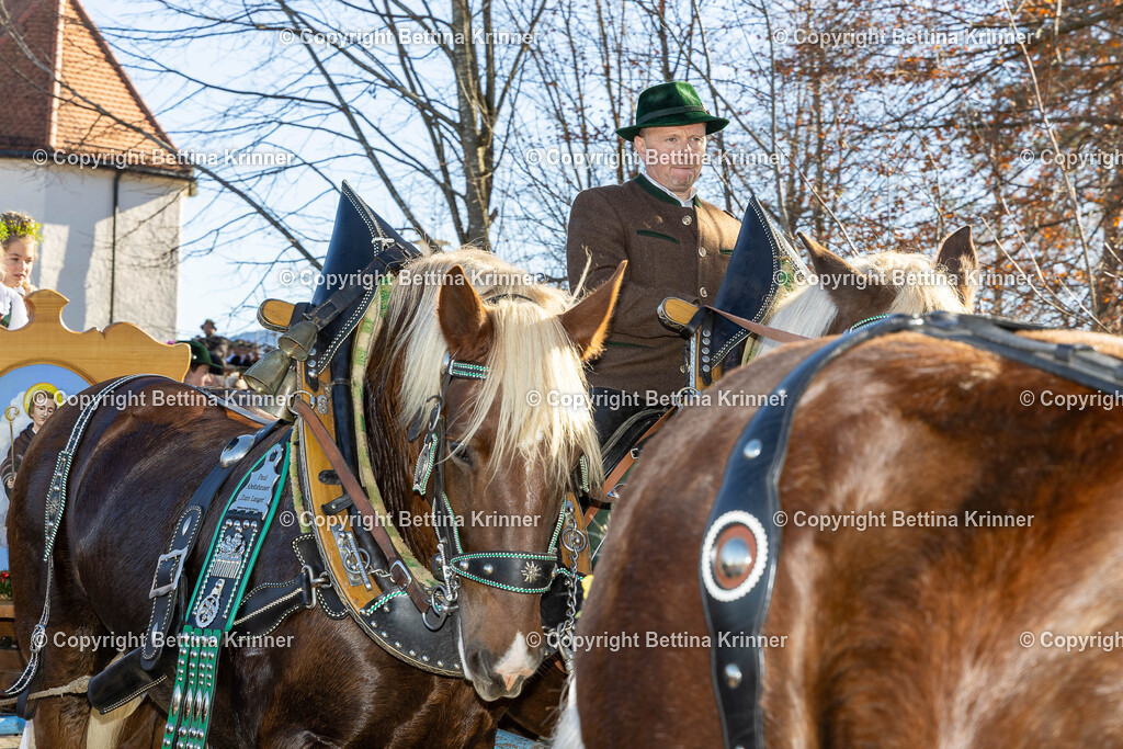 LBT25-1123 | foto-bettina-krinner - Realisiert mit Pictrs.com