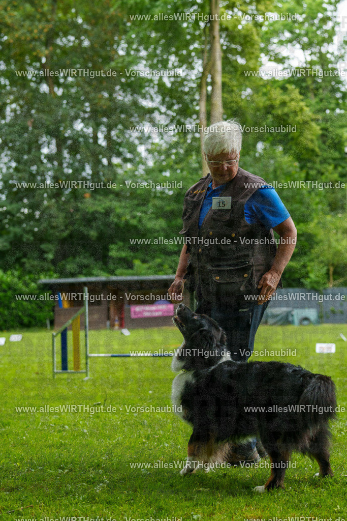 @allesWIRTHgut_Tierfotografie - www.allesWIRTHgut.de - 091348-7R506763 | Professionelle Tierfotografie in Mönchengladbach von Daniel Wirth (allesWIRTHgut). Liebevolle & natürliche Bilder von Hunden & Katzen für unvergessliche Erinnerungen.
