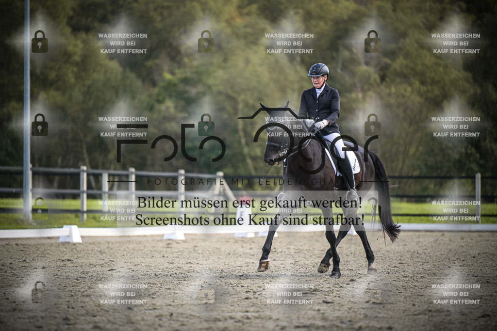 DOS_0726 | Entdecke hochwertige Reitturnierfotos von Foto Oger. Professionell, emotional und authentisch – jetzt Lieblingsmomente im Shop bestellen.Deutschlandweite Turnierfotografie. - Realisiert mit Pictrs.com