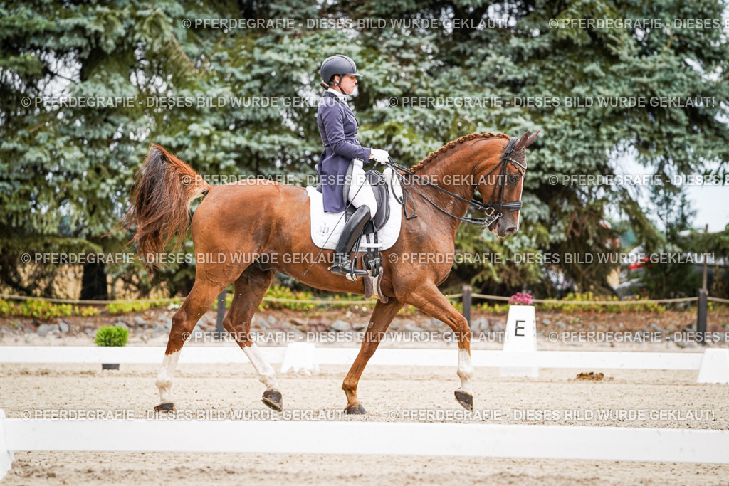 DSC04868 | Pferdegrafie