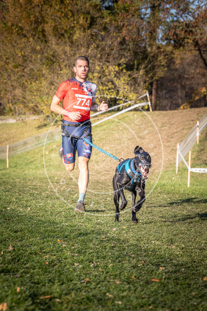CaniXpix_0L8A0078 | Hundefotografie, Tierfotograf, Pfotenfotografie, Fotoshooting Hund, Hunde Portrait, Hundesport, Hundeportraits, Heideshooting, Hunde, Sportfotograf, Hundefotograf, Turnierhundsport, THS,  - Realisiert mit Pictrs.com