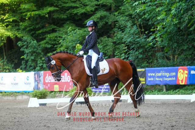 DKP43158 | Turniersportfotografie; Pferdefotografie; Dressurfotografie