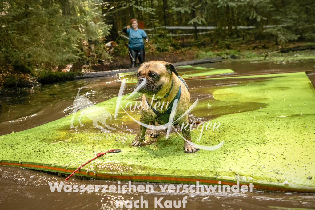 1413_ZZ91652-Bearbeitet | kk-dogfotos