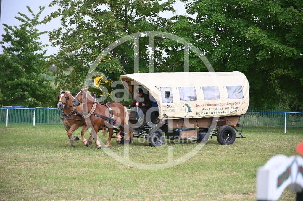 DSC_8714 | sattelsport - Realisiert mit Pictrs.com