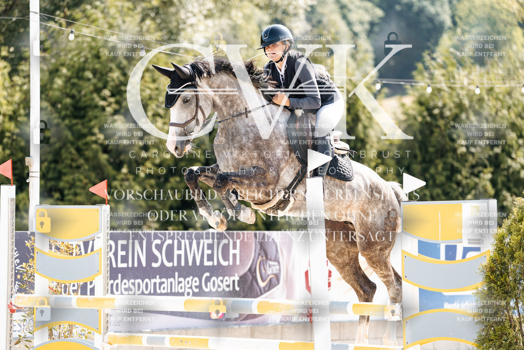 CK908568 | Turnierfotografie Pferdefotografie Trier Rheinland-Pfalz Pferdesport Reitsport Tierfotografie Sportfotografie Pferdevideo Pferdevideografie Equestrianvideography equestrianphotography  - Realisiert mit Pictrs.com