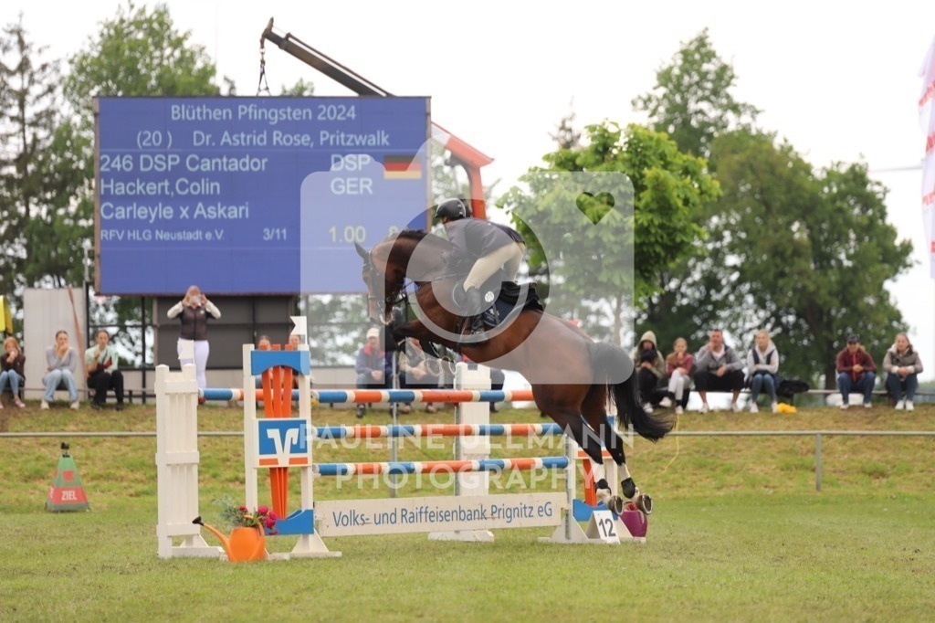 IMG_8881 | Pauline Ullmann Photography - Realisiert mit Pictrs.com