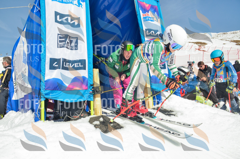 _ELE5804 | holidayphoto