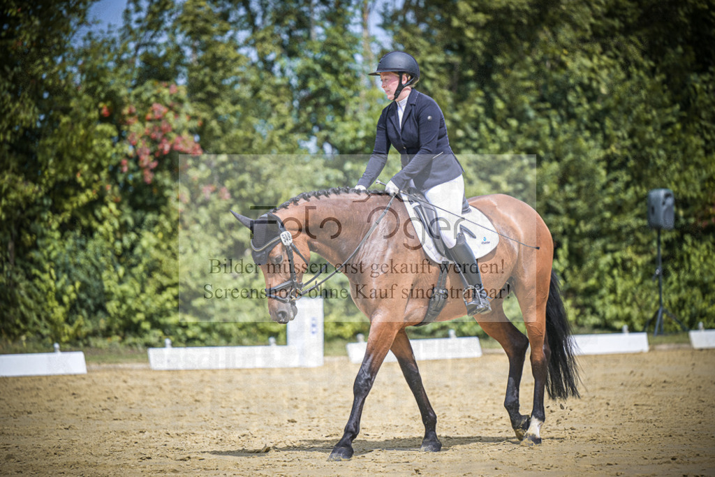 DOS_4107 | Entdecke hochwertige Reitturnierfotos von Foto Oger. Professionell, emotional und authentisch – jetzt Lieblingsmomente im Shop bestellen.Deutschlandweite Turnierfotografie. - Realisiert mit Pictrs.com