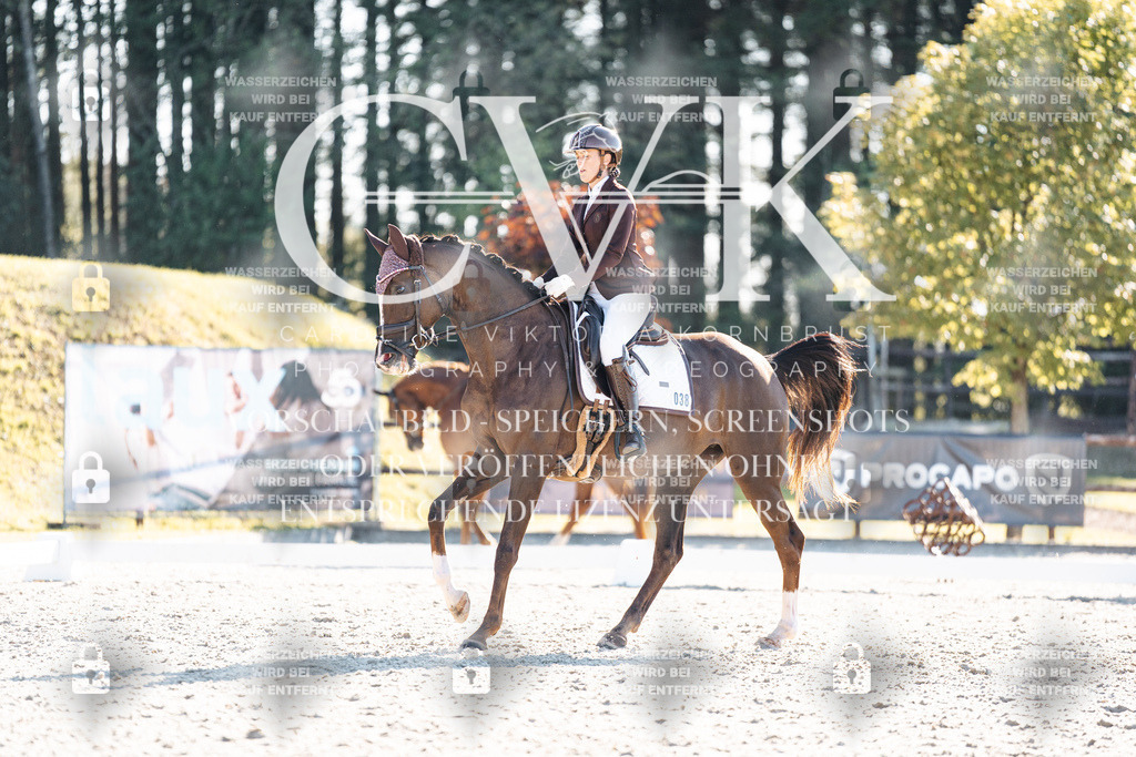 CK906612 | Turnierfotografie Pferdefotografie Trier Rheinland-Pfalz Pferdesport Reitsport Tierfotografie Sportfotografie Pferdevideo Pferdevideografie Equestrianvideography equestrianphotography  - Realisiert mit Pictrs.com