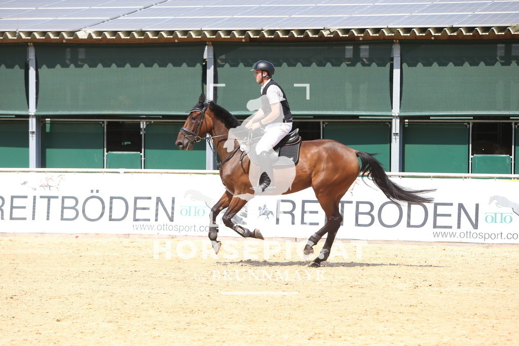 DL2Q1442 | Willkommen bei Brunnmayr - Design & Fotografie – Ihrem Spezialisten für Reitturniere und Pferdeveranstaltungen in Oberösterreich, Salzburg und Bayern! Seit über 17 Jahren sind wir leidenschaftlich dabei.