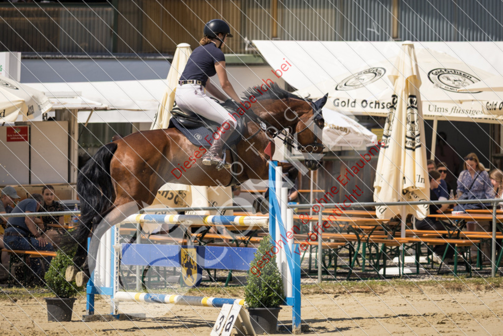 IMG_9321 | Sport-, Event- und Tierfotos in Profiqualität. Einfach auswählen, bestellen und herunterladen. Dein Moment – perfekt festgehalten.