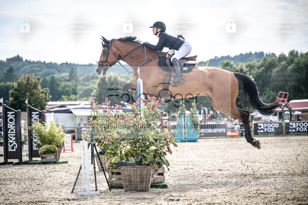 DOS_1963 | Entdecke hochwertige Reitturnierfotos von Foto Oger. Professionell, emotional und authentisch – jetzt Lieblingsmomente im Shop bestellen. - Realisiert mit Pictrs.com