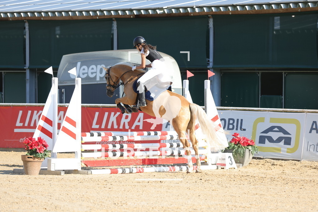 0P6A4298 | Willkommen bei Brunnmayr - Design & Fotografie – Ihrem Spezialisten für Reitturniere und Pferdeveranstaltungen in Oberösterreich, Salzburg und Bayern! Seit über 17 Jahren sind wir leidenschaftlich dabei.
