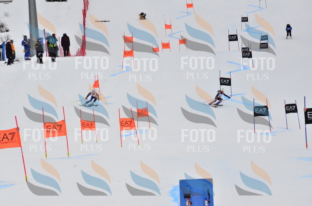 _ELE3707 | holidayphoto