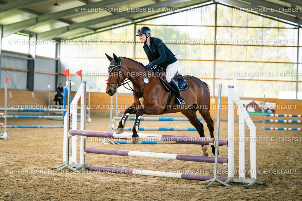 DSC00543 | Pferdegrafie