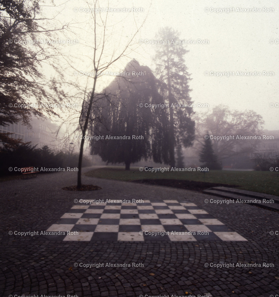 Aarau_0537 | onlineshop - Realisiert mit Pictrs.com