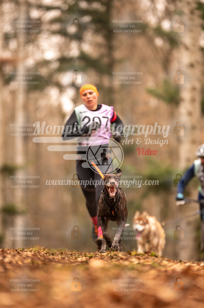 AKM_ST_2023_SAM_Run-8 | PayLife