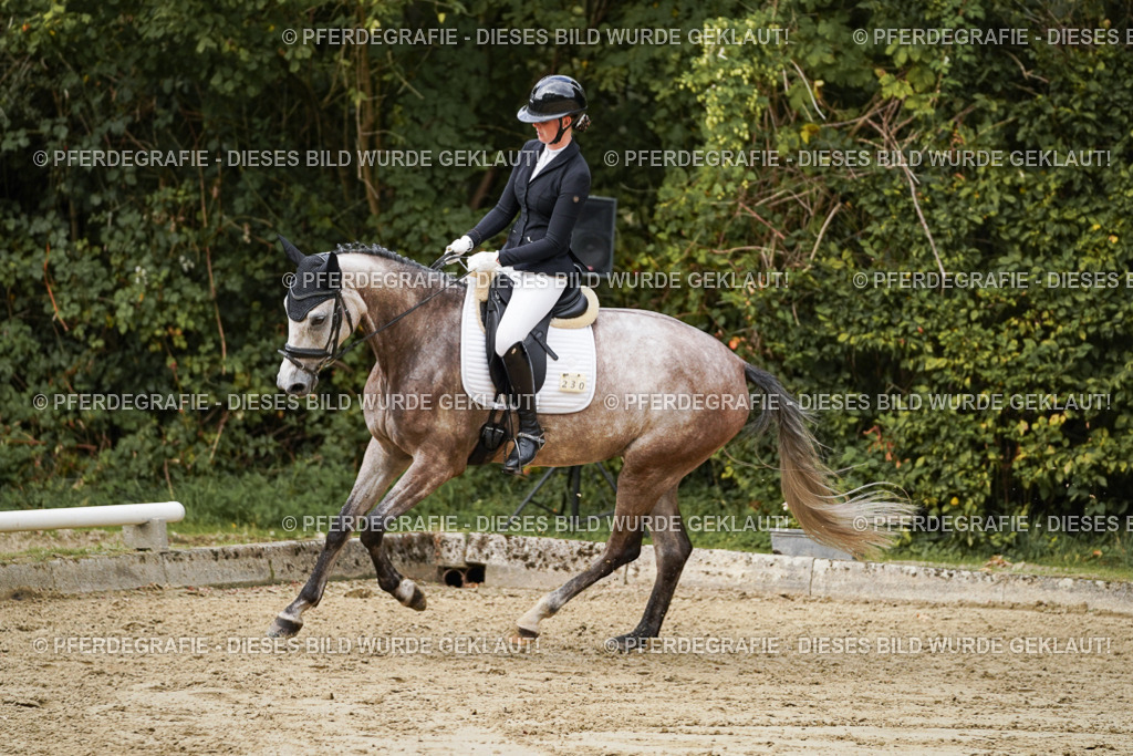 DSC00816 | Pferdegrafie