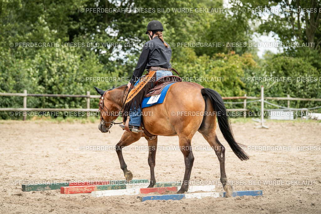 DSC01630 | Pferdegrafie