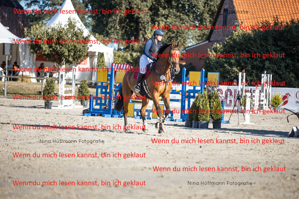 BK1A7667 | Turnierbilder Turnierfotos Nina Hüffmann Turnierfotografie Pferdefotografie Tierzeichnung Haustierzeichnung Pferdezeichnung Hundezeichnung Videograf  - Realisiert mit Pictrs.com