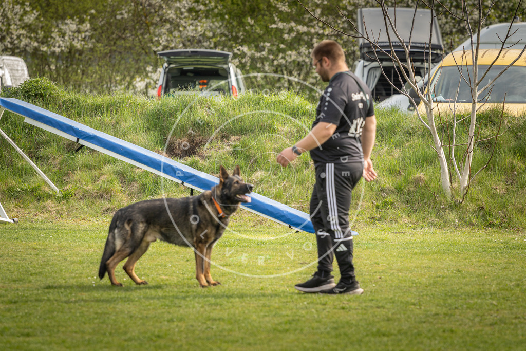 Pfotenfotografie_DV3A5031 | Hundefotografie, Tierfotograf, Pfotenfotografie, Fotoshooting Hund, Hunde Portrait, Hundesport, Hundeportraits, Heideshooting, Hunde, Sportfotograf, Hundefotograf, Turnierhundsport, THS,  - Realisiert mit Pictrs.com