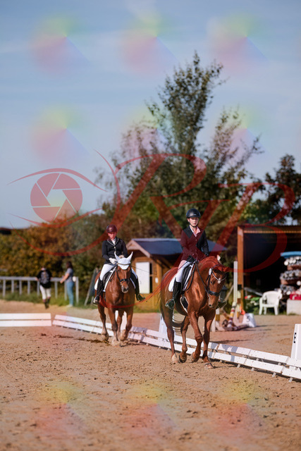 2026_10_03_Siefer-Hof_114350_Z81_85580700 | Professionelle Reitsport-, Turnier- und Eventfotografie von Robert Broda. Galerien mit ausgewählten und bearbeiteten Bildern direkt online ansehen und bestellen.