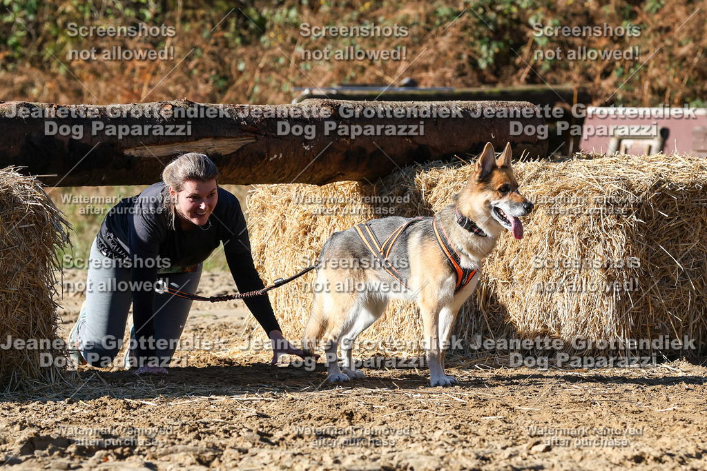 Dog Paparazzi - Strongdog 10-25-2412 | Dog Paparazzi Jeanette Grottendiek Fotografie & Videografie - Realisiert mit Pictrs.com