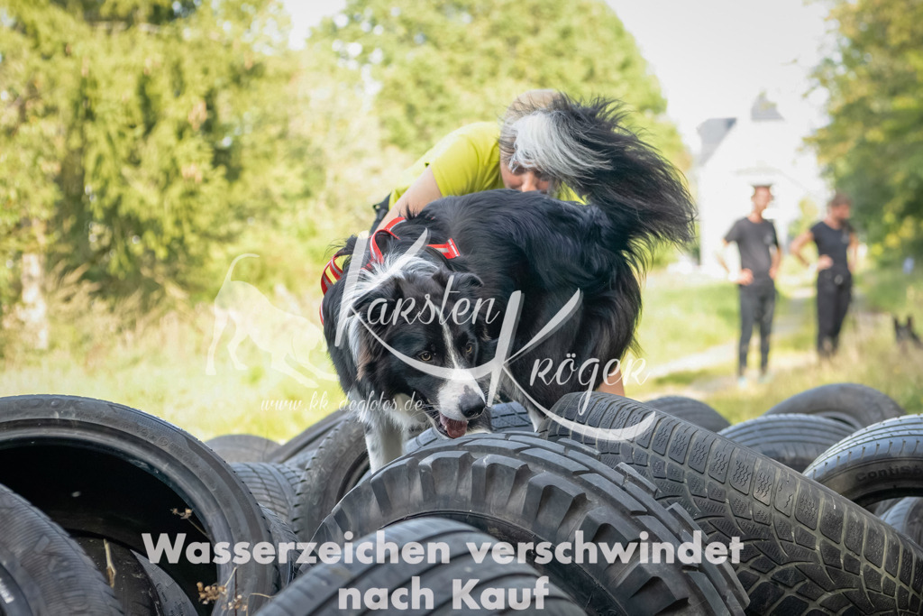 1537_ZZ91885-Bearbeitet | kk-dogfotos