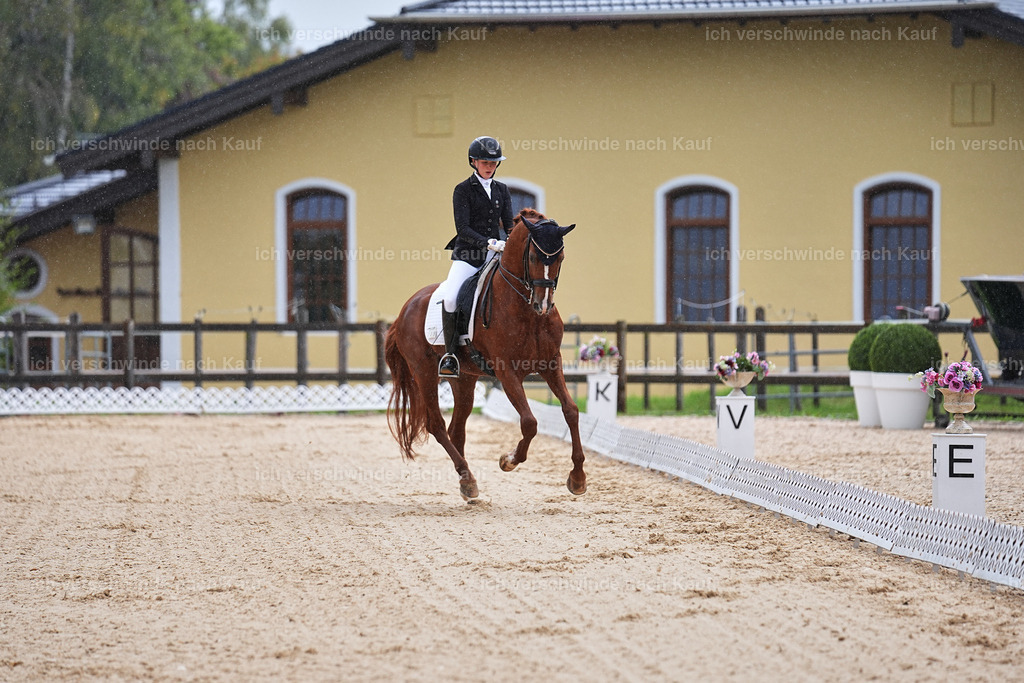 05-223-DRESSUR M_  -Marixx-4953 | working equitationturnier fotograf videograf stoibphotography marixx film working equitation deutschland reitsport turnierfotografie eventfotografie equestrian events