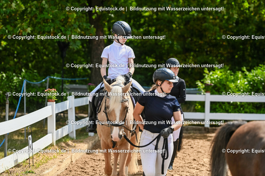 20230716_11_Führzügel-WB_0009 | equistock