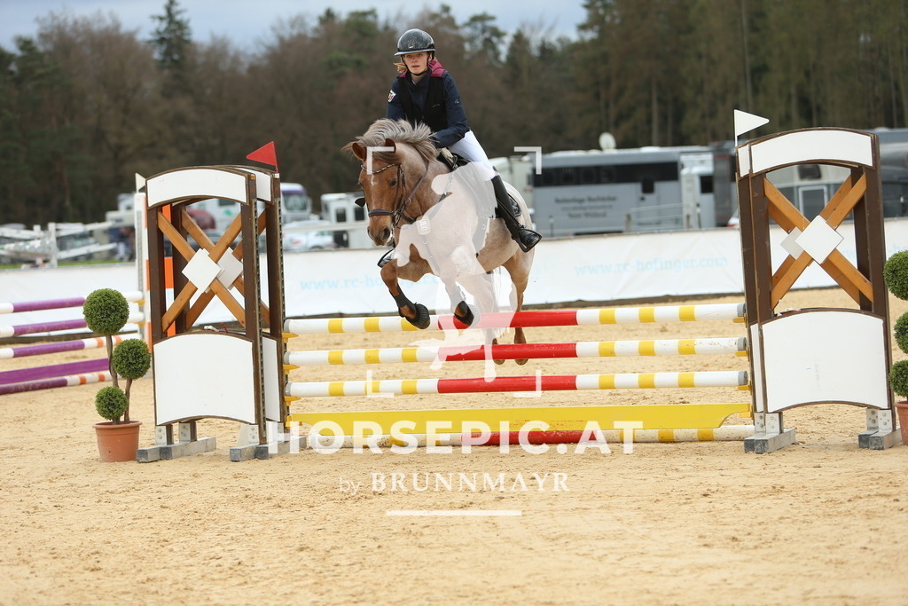 DL2Q1895 | Willkommen bei Brunnmayr - Design & Fotografie – Ihrem Spezialisten für Reitturniere und Pferdeveranstaltungen in Oberösterreich, Salzburg und Bayern! Seit über 17 Jahren sind wir leidenschaftlich dabei.