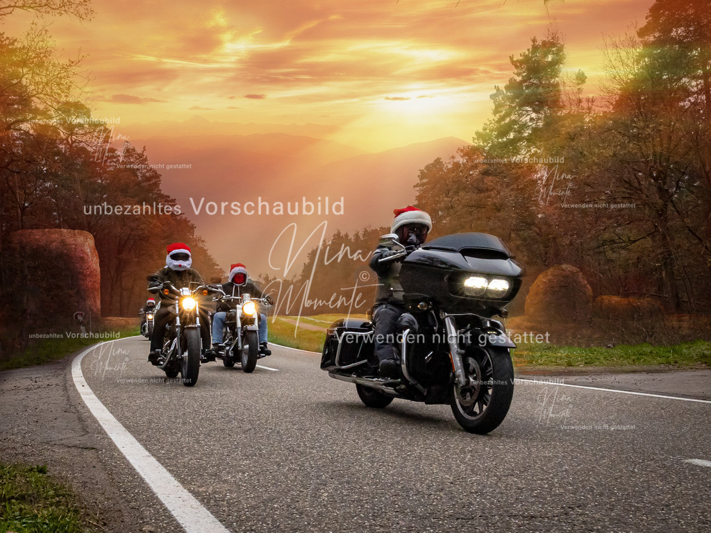 _16A2904-1 | Einzigartige Fotos von Hunden & Menschen –Actionfotos, Portraits, Vereinsaufnahmen & Paarshootings – authentisch, lebendig & mit Herz.