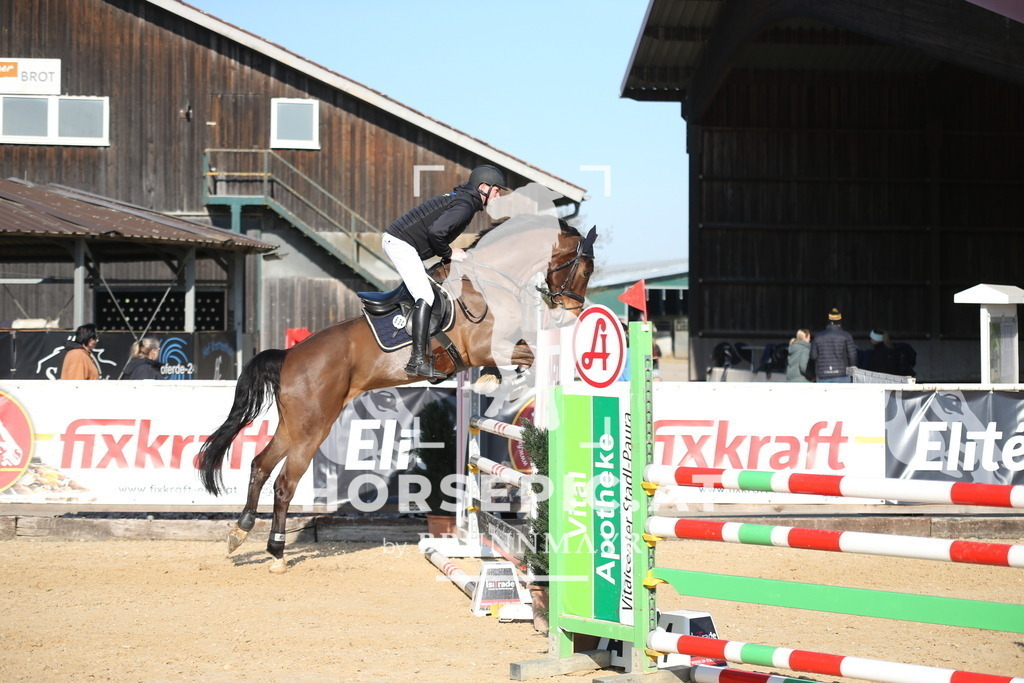 AS8V2706 | Willkommen bei Brunnmayr - Design & Fotografie – Ihrem Spezialisten für Reitturniere und Pferdeveranstaltungen in Oberösterreich, Salzburg und Bayern! Seit über 17 Jahren sind wir leidenschaftlich dabei.